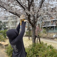 シフト出しましたん👯‍♀️