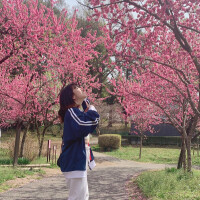 ごめんなさい🙇‍♀️