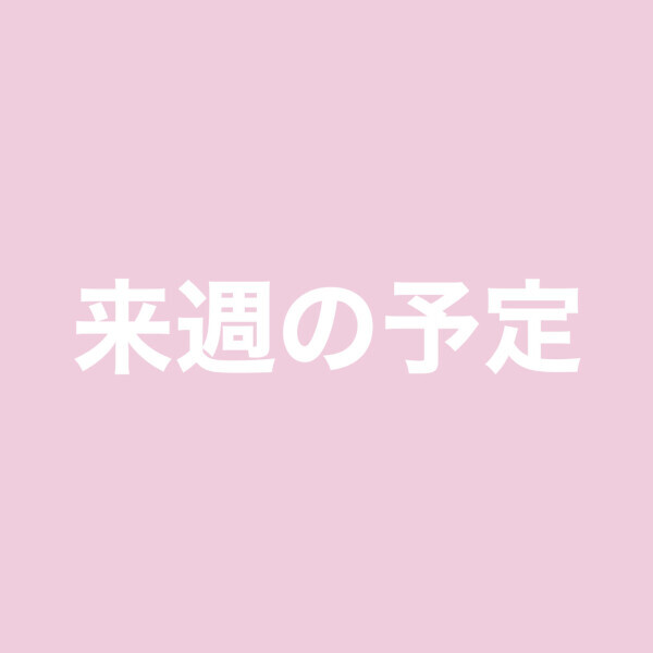 予定