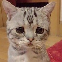 なんとなんと、