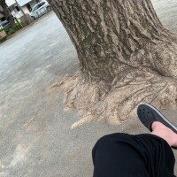 まったりしてるです🧚‍♀️