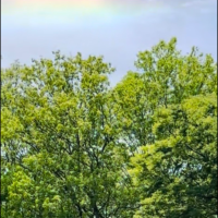 🌈
