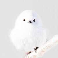 今日もありがとう！