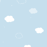 せいか