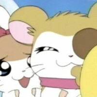 めろ