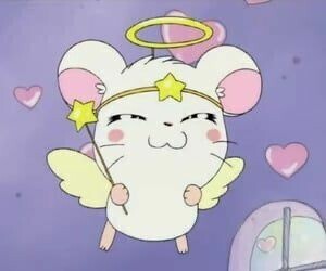✨