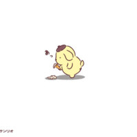 本日空き枠とお知らせ🌈