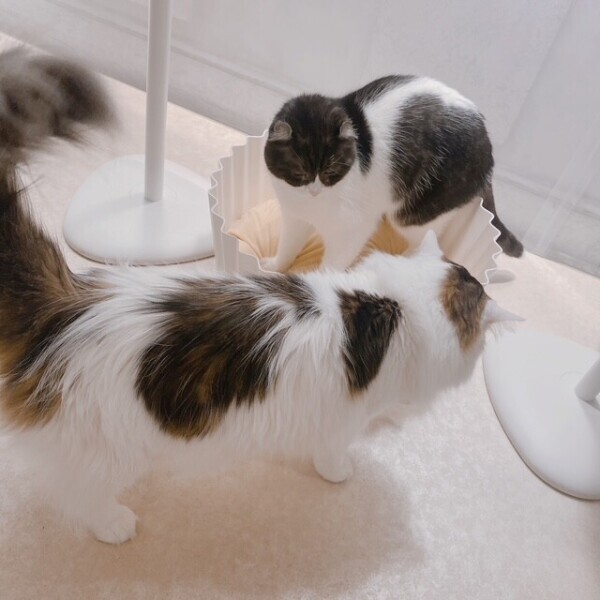 おはようございます☀️