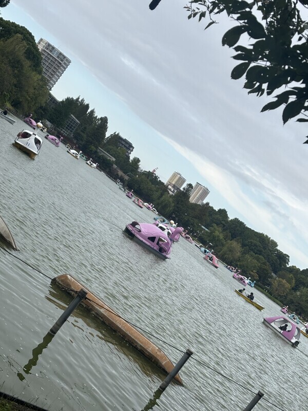 あけおめあけおめあけおめ〜〜〜〜