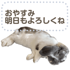 Ꮚ• ·̫ •̥Ꮚᰔ