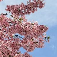 ４月だ💕