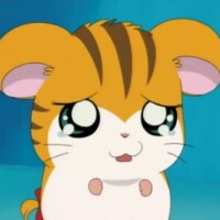 ( TᴖT )