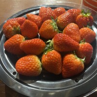 さゆり