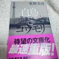急遽🍀