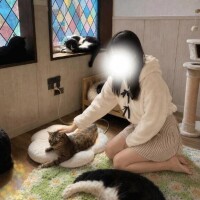 〇〇でお兄さまをムラムラさせるよ