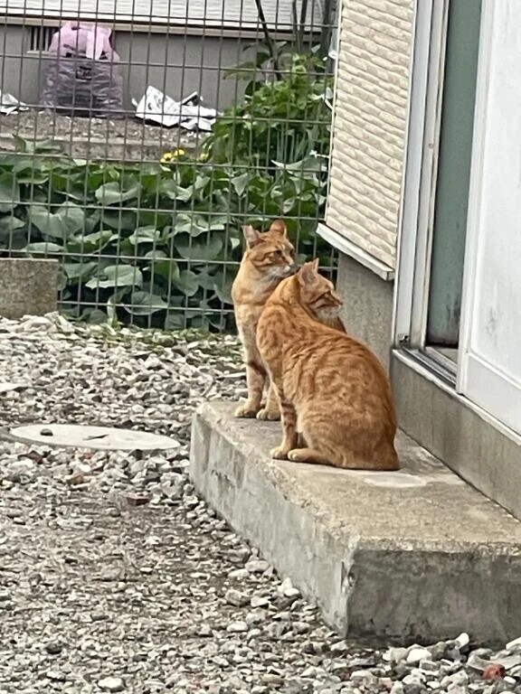 名前なんとかして😇