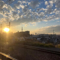 みいや