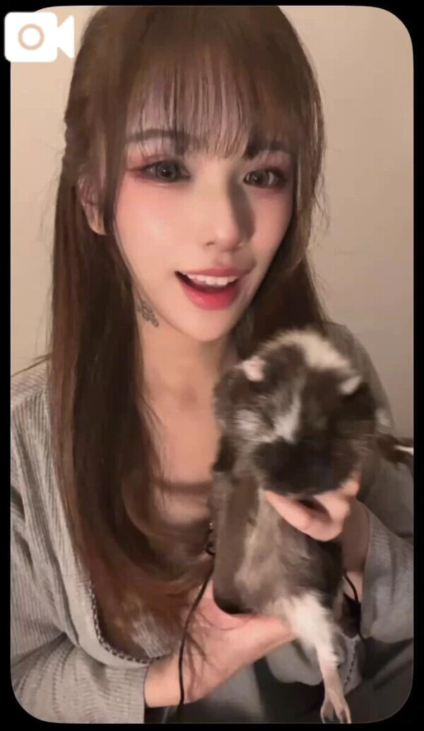 空いたよんっ🐹