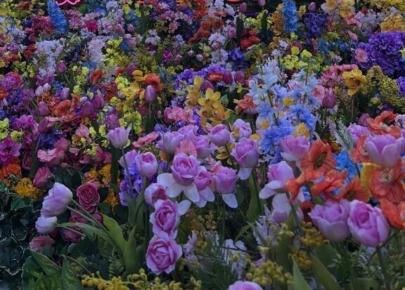 🌷🌼お花🌸🌹