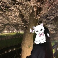すず