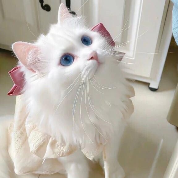 明日から🩷