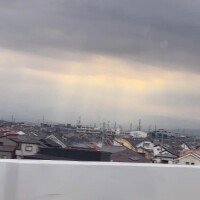 羽〇果音