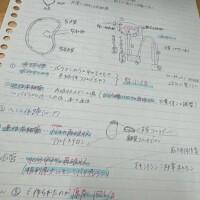 るる