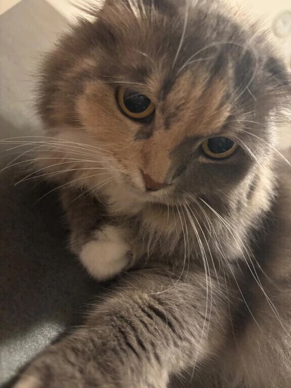 退勤にゃんにゃ♡♡