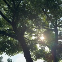 残り4日