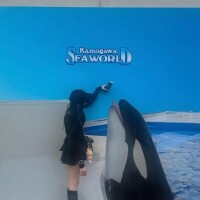 ひらり