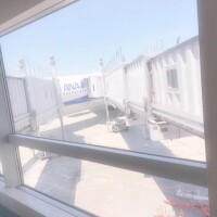 飛行機！✈️