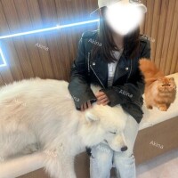 🥀ゆっくりひとやすみ