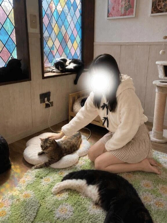 〇〇でお兄さまをムラムラさせるよ