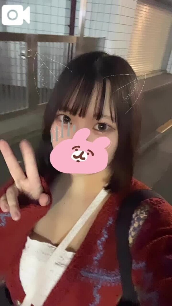 🐰