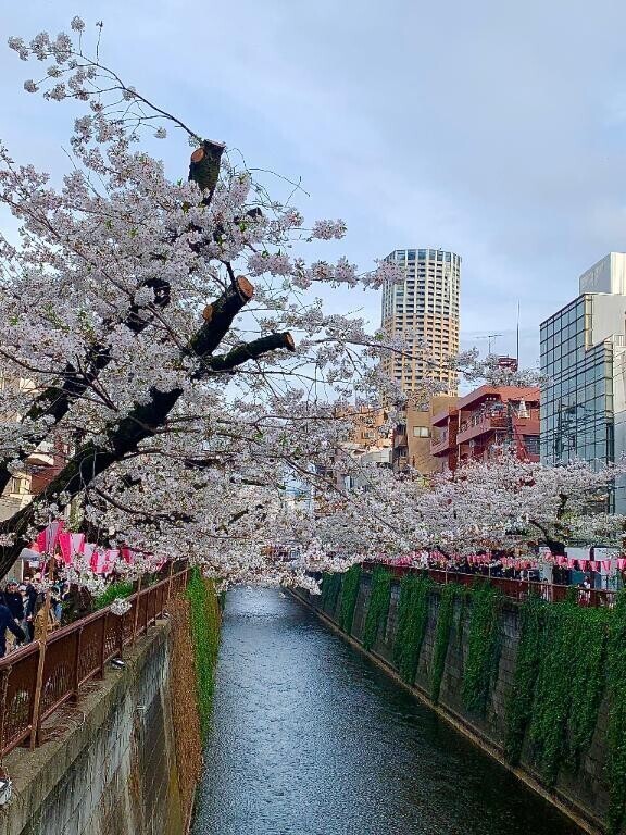 明日から4月🌸