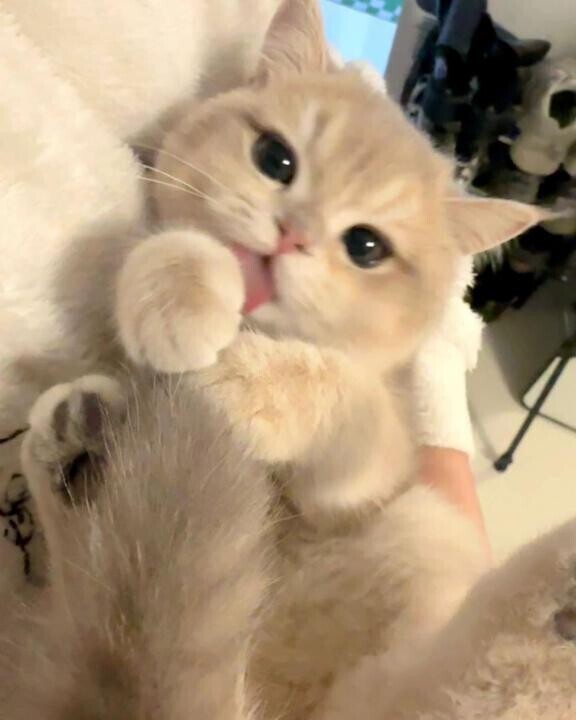出勤したよ〜