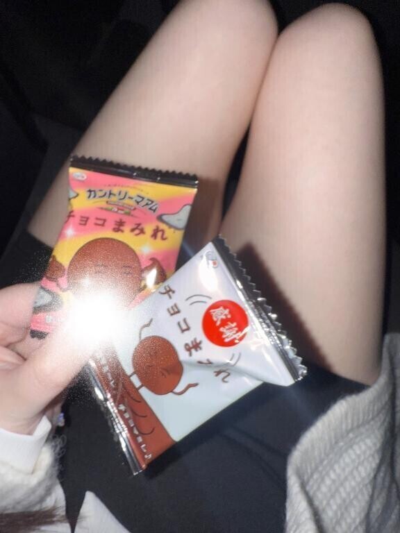 出勤🐶