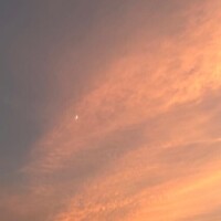 ひなた