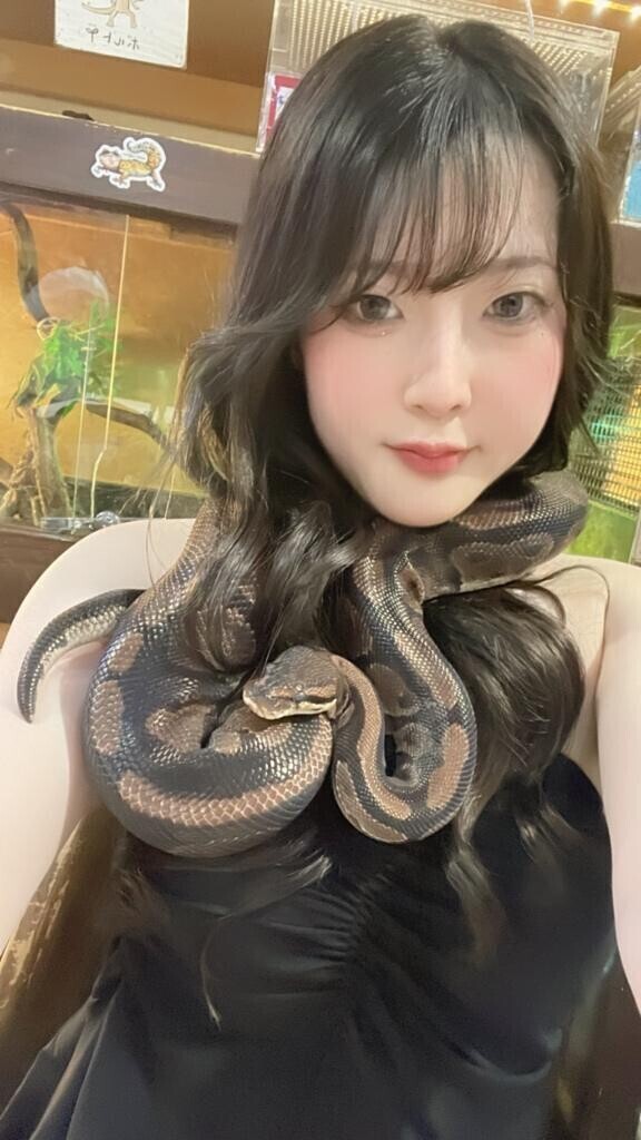 まとわりつく…