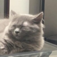 お礼💌