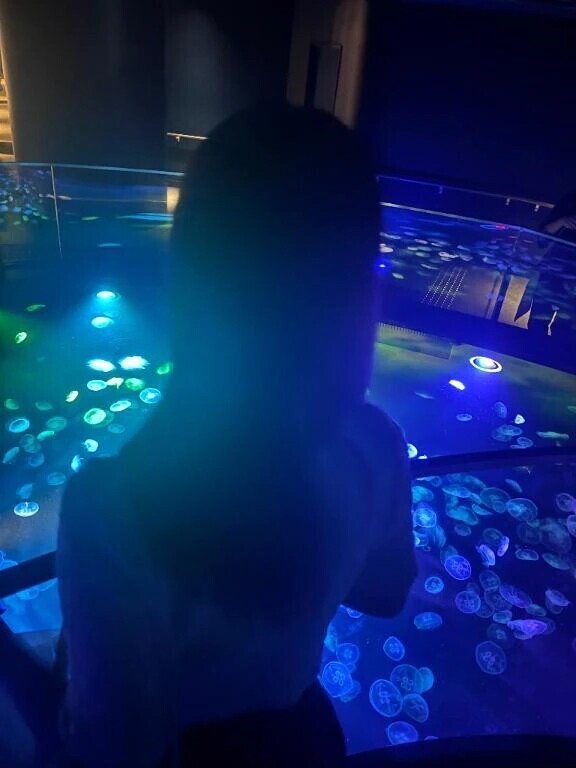 涼しくなったね🌪️