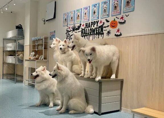 たまには浮気もいいよね？？