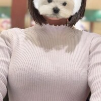 クリスマス風の顔隠しスタンプ🐶🎄笑