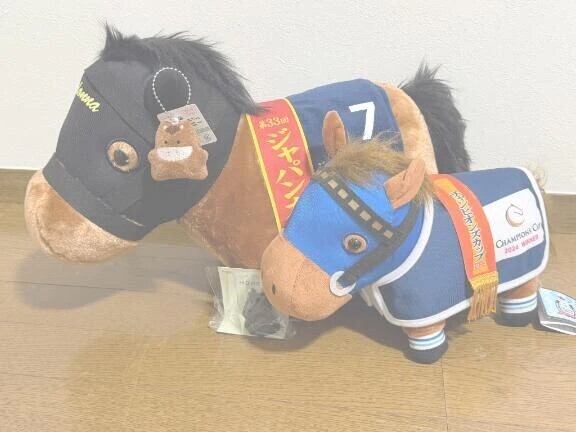歓喜‼️🐴