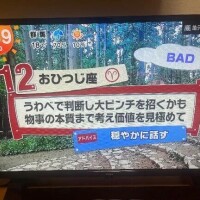 がーーーーん🥹