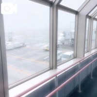 白馳深雪