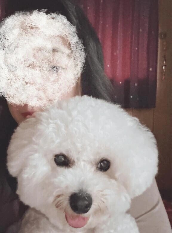 今日は愛犬と撮影会へ♡