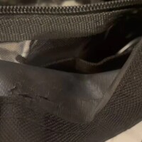 竜ノ平つき