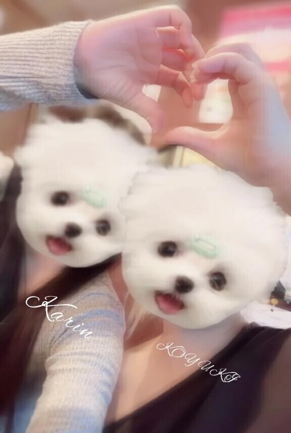 最近