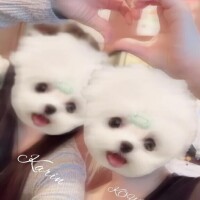 最近